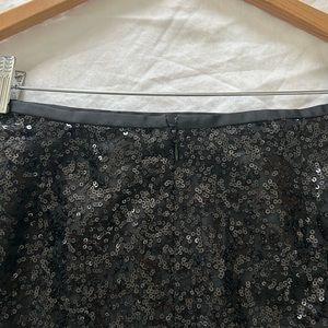 J Crew Skirt